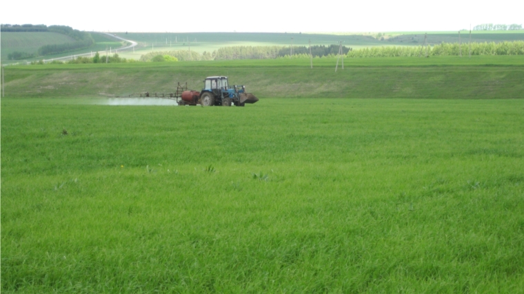 Аграрии Янтиковского района выполняют химпрополку и химзащиту посевов